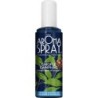 Aromaspray Girofle Camphre Flacon vaporisateur 100 ml