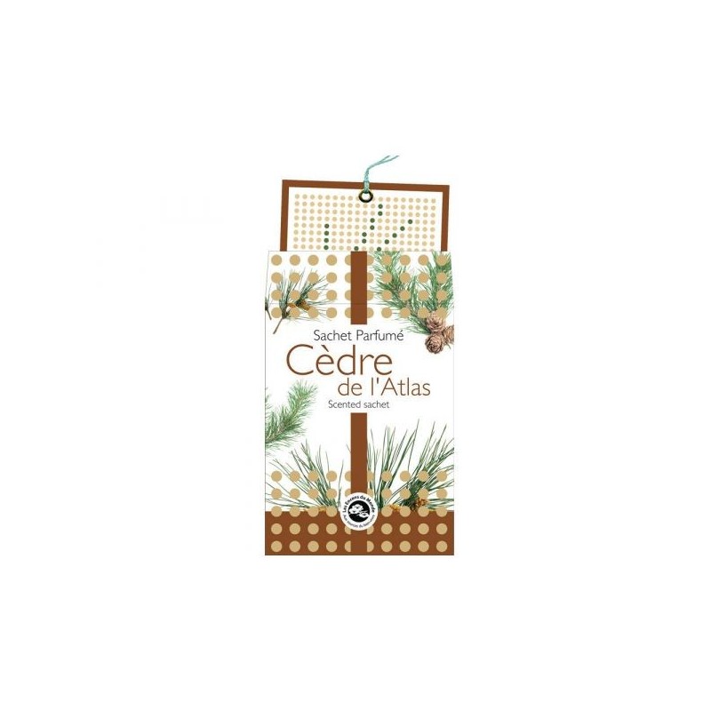 Cèdre de l'Atlas