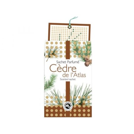 Cèdre de l'Atlas