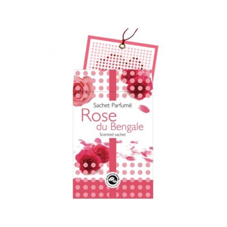 Rose du Bengale