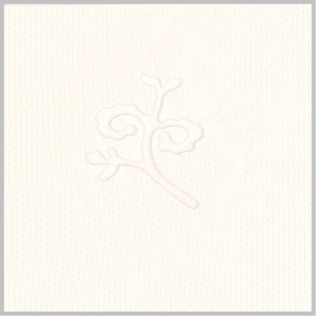 Poudre invisible  (mission invisible)