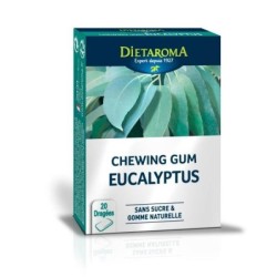 Chewing gum eucalyptus sans sucre 20 dragées