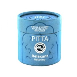 Pitta Boîte 15 cônes + porte-cônes
