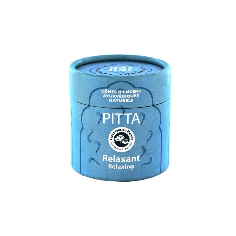 Pitta Boîte 15 cônes + porte-cônes