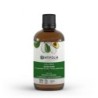 Avocat Flacon verre 100 ml