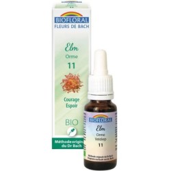 11 Orme (Elm) Flacon 20 ml