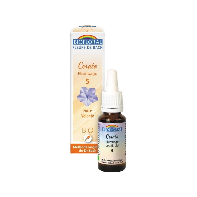 05 Plumbago (Cerato) Flacon 20 ml