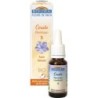 05 Plumbago (Cerato) Flacon 20 ml