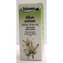 Allium ursinum (Ail des ours) Flacon de 50 ml