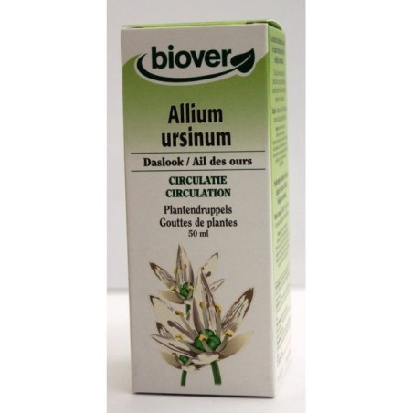 Allium ursinum (Ail des ours) Flacon de 50 ml