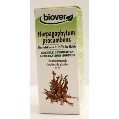 Harpagophytum procumbens (Griffe du diable) Flacon de 50 ml