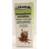 Harpagophytum procumbens (Griffe du diable) Flacon de 50 ml