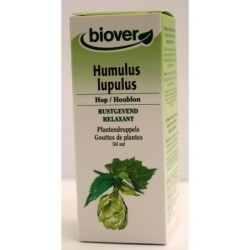 Humulus lupulus (Houblon) Flacon de 50 ml