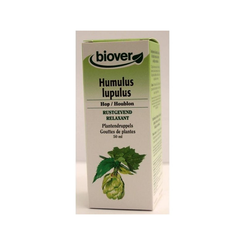Humulus lupulus (Houblon) Flacon de 50 ml