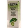 Humulus lupulus (Houblon) Flacon de 50 ml