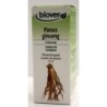 Panax ginseng (Ginseng vrai) Flacon de 50 ml