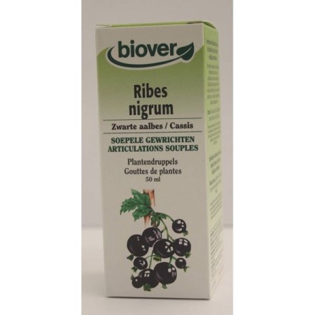 Ribes nigrum (Cassis) Flacon de 50 ml