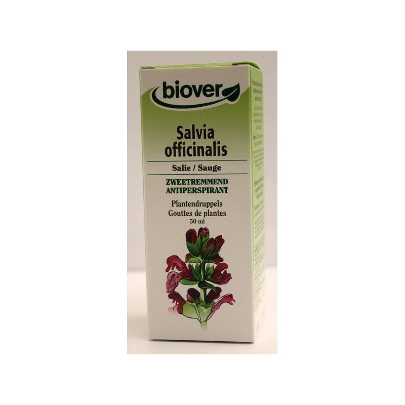 Salvia officinalis (Sauge) Flacon de 50 ml