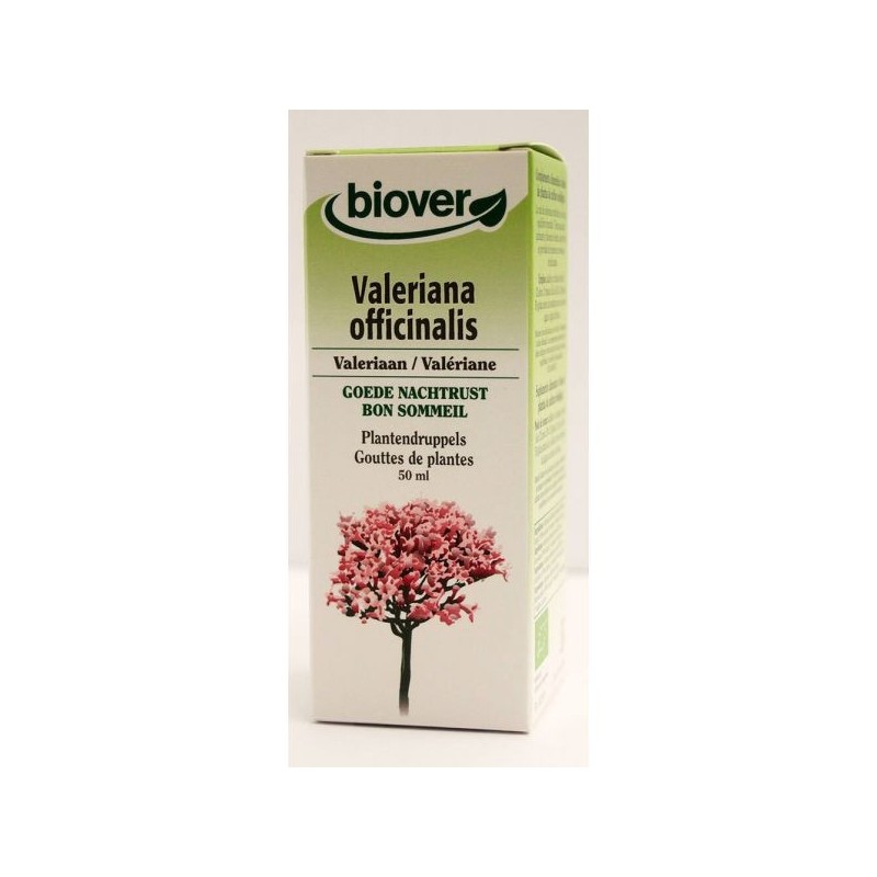 Valeriana officinalis (Valériane) Flacon de 50 ml