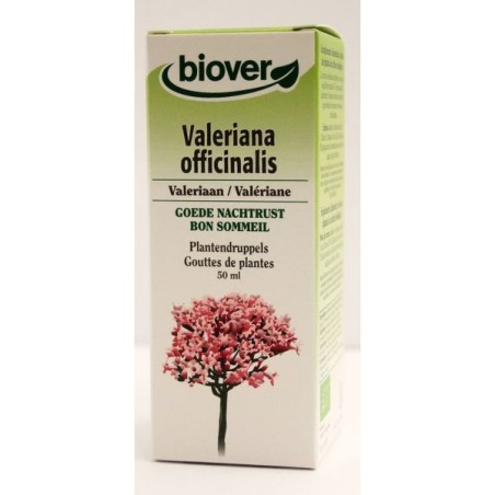 Valeriana officinalis (Valériane) Flacon de 50 ml