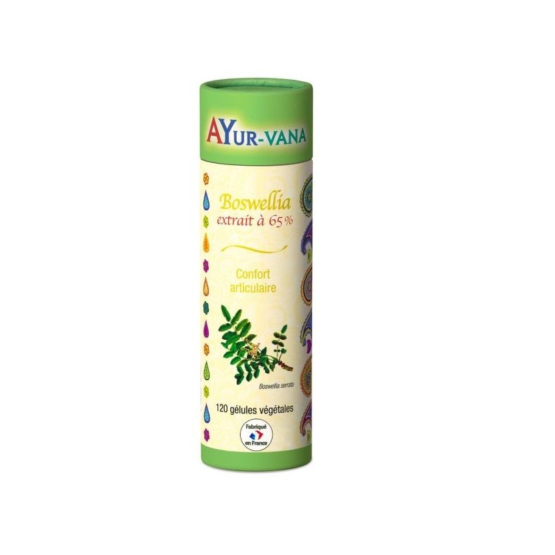 Boswellia extrait 65% d'acides Boswelliques