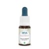 Folle avoine (Wild oat) Flacon Compte-gouttes 15 ml