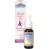 31 Verveine (Vervain) Flacon 20 ml