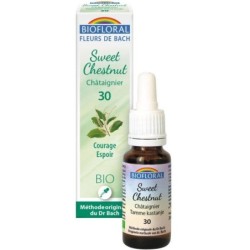 30 Châtaignier (Sweet Chesnut) Flacon 20 ml
