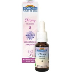 08 Chicorée (Chicory) Flacon 20 ml