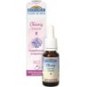 08 Chicorée (Chicory) Flacon 20 ml