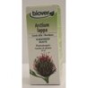 Arctium lappa (Bardane) Flacon de 50 ml