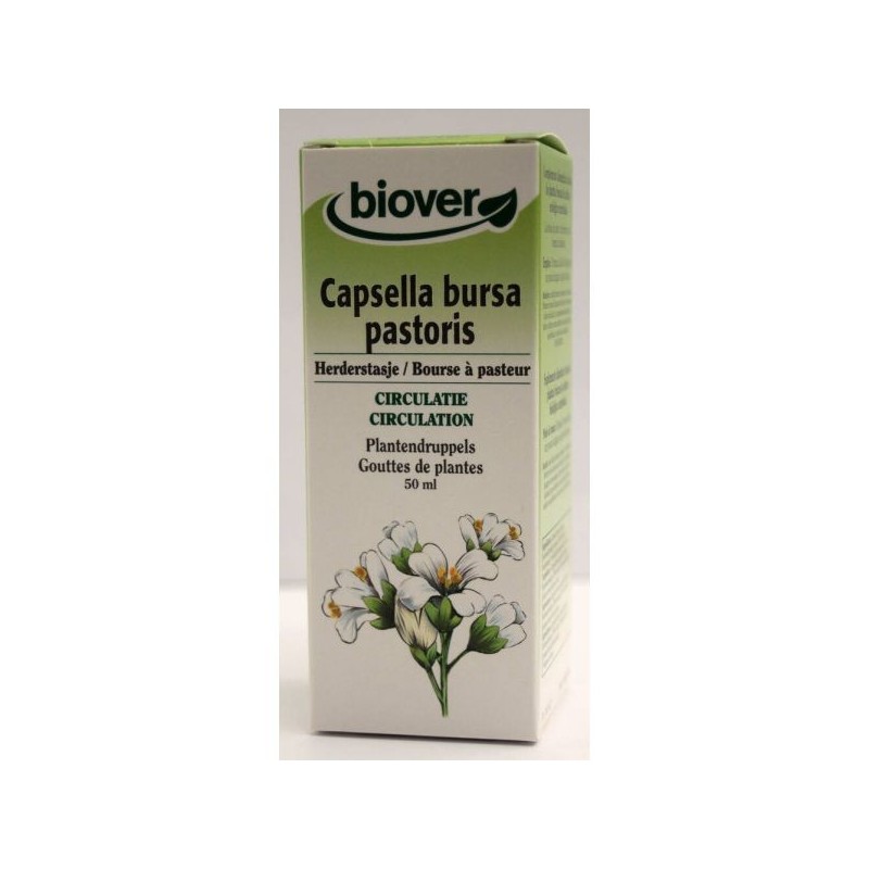 Capsella bursa pastoris (Bourse à pasteur) Flacon de 50 ml