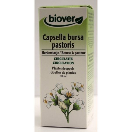 Capsella bursa pastoris (Bourse à pasteur) Flacon de 50 ml