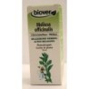 Melissa officinalis (Mélisse) Flacon de 50 ml