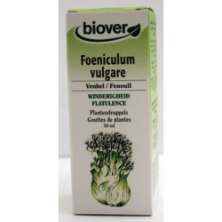 Foeniculum vulgare (Fenouil) Flacon de 50 ml