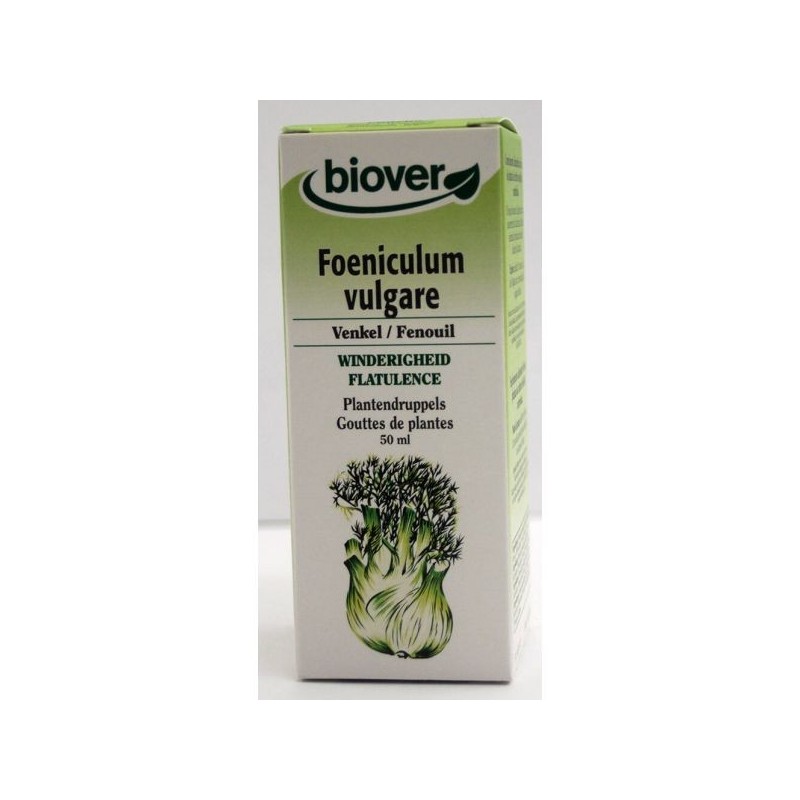 Foeniculum vulgare (Fenouil) Flacon de 50 ml