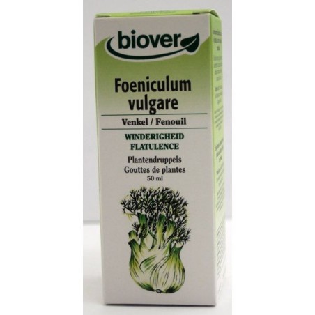 Foeniculum vulgare (Fenouil) Flacon de 50 ml