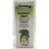 Foeniculum vulgare (Fenouil) Flacon de 50 ml