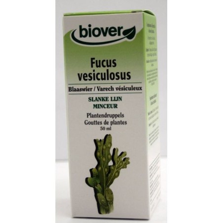 Fucus vesiculosus (Varech vésiculeux) Flacon de 50 ml