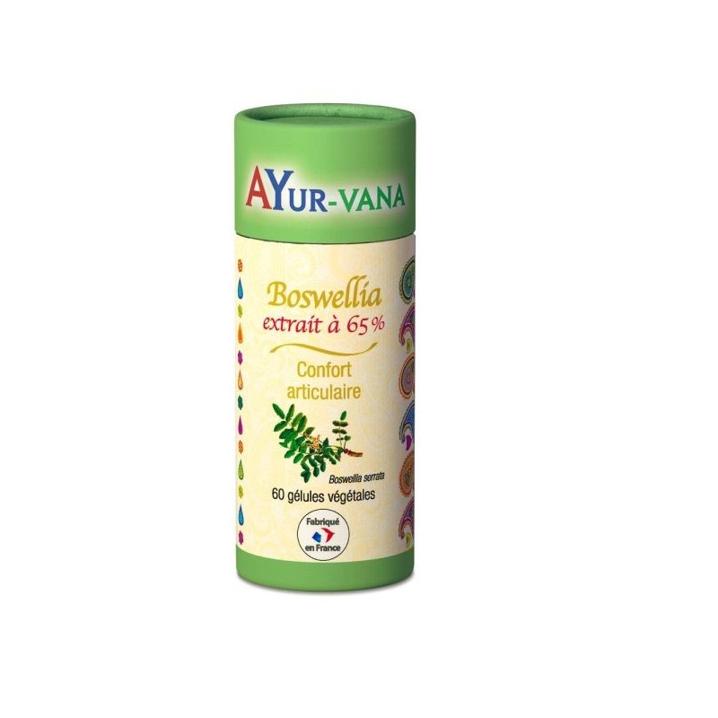 Boswellia extrait 65% d'acides Boswelliques