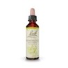 16  Honeysuckle (Chèvrefeuille) Flacon 20 ml