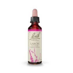 19  Larch (Mélèze) Flacon 20 ml