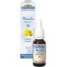 20 Mimule (Mimulus) Flacon 20 ml