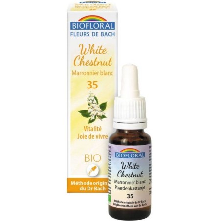 35 Marronnier blanc (White Chesnut) Flacon 20 ml