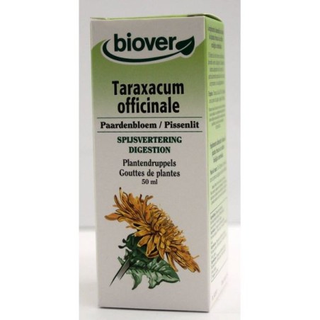 Taraxacum officinalis (Pissenlit) Flacon de 50 ml