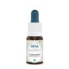 Châtaignier (Sweet chestnut) Flacon Compte-gouttes 15 ml