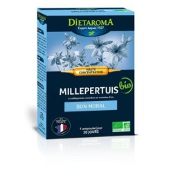C.I.P. Millepertuis 20 ampoules de 10 ml