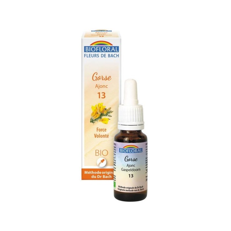 13 Ajonc (Gorse) Flacon 20 ml