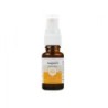 Spray buccal sans alcool Flacon 15 ml