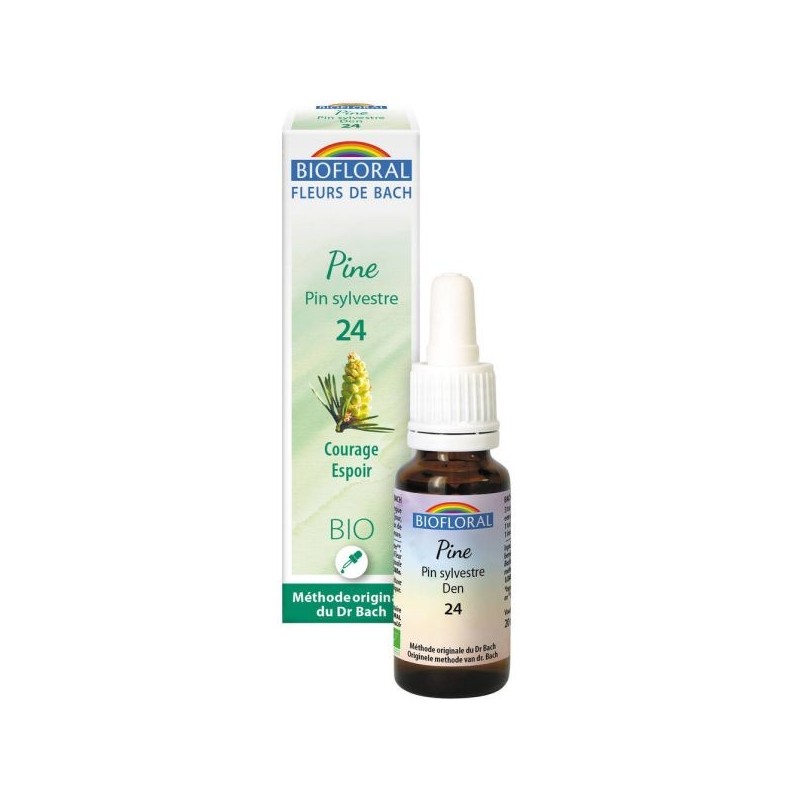 24 Pin sylvestre (Pine) Flacon 20 ml